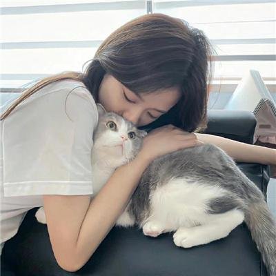 吉普车中的四人